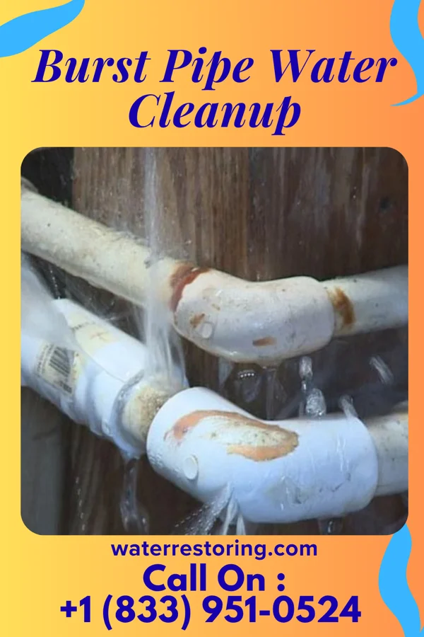 Burst Pipe Water Cleanup in Rushville, OH