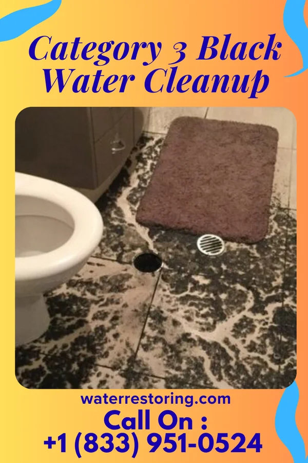 Category 3 Black Water Cleanup in Rushville, OH