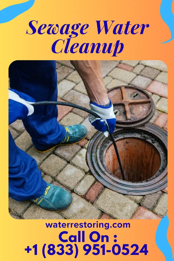 Sewage Water Cleanup in Rushville, OH