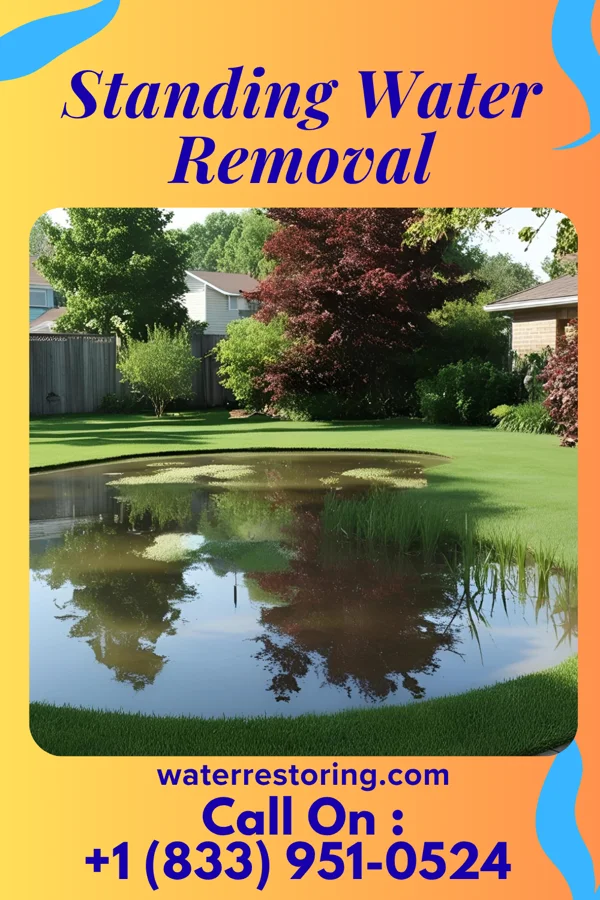 Standing Water Removal in Rushville, OH
